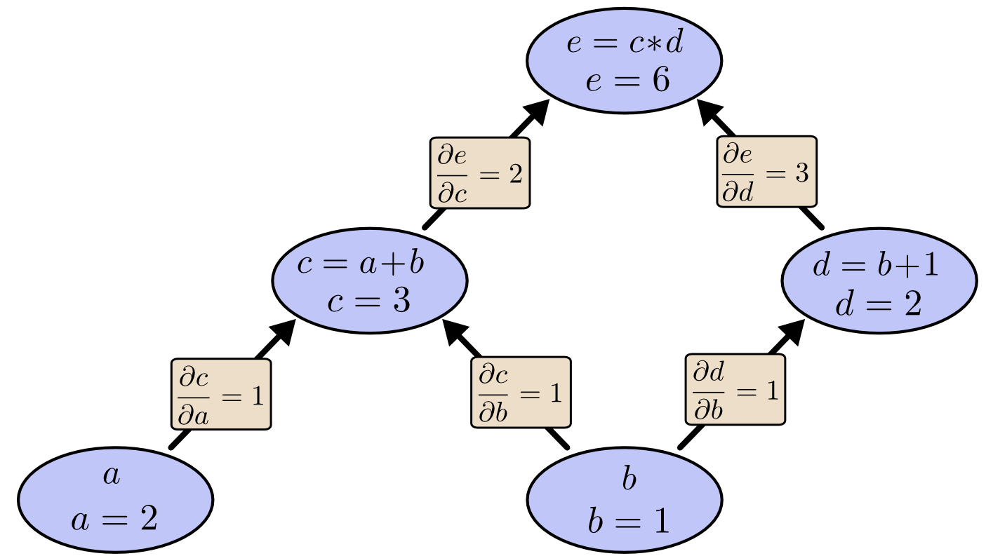 the computational graph with derivatives
